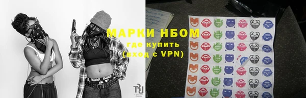 PSILOCYBIN Верея