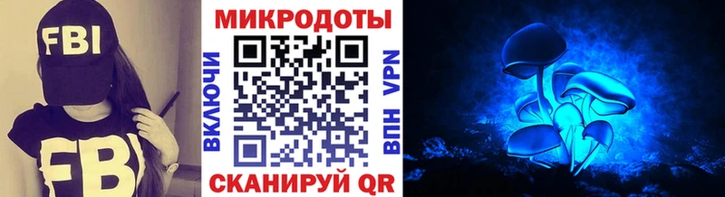 сколько стоит  Жуков  Псилоцибиновые грибы Magic Shrooms 